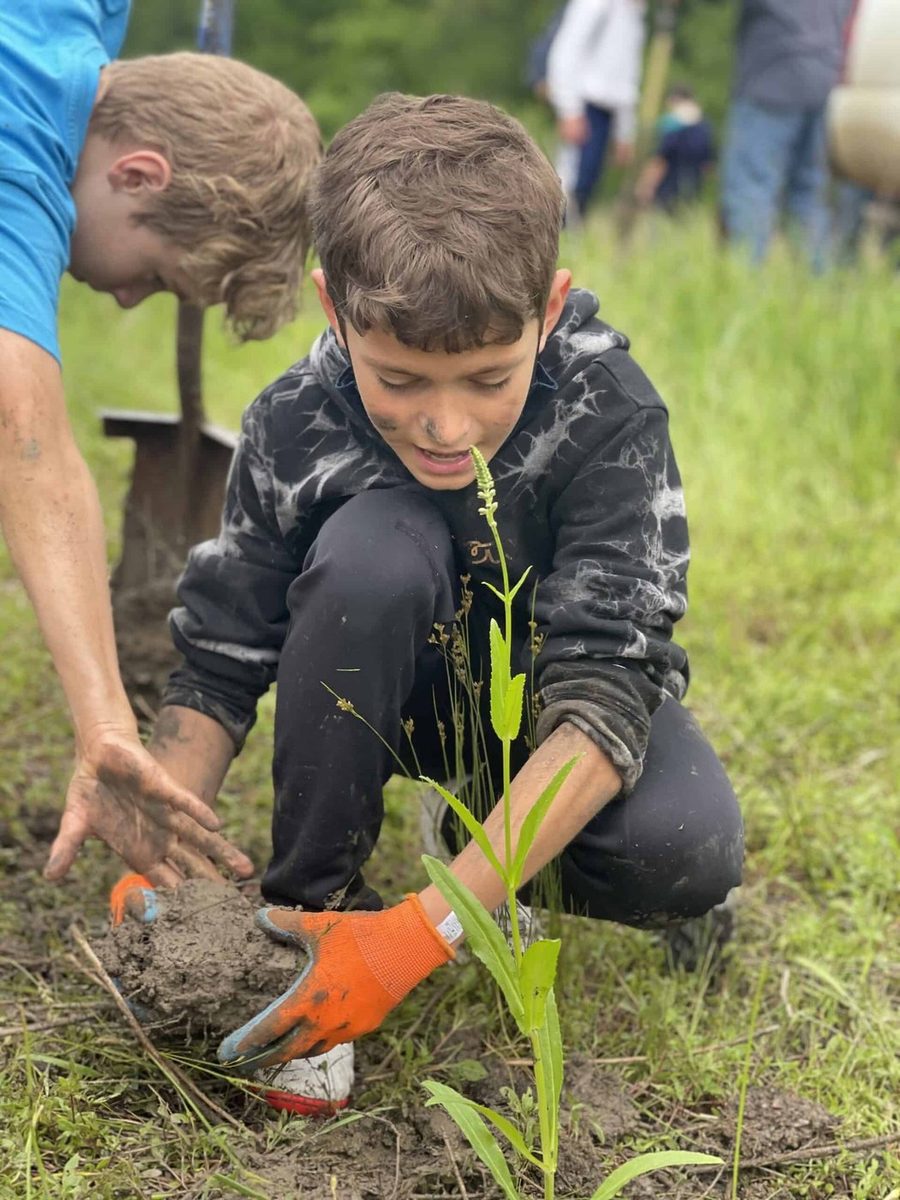A Selwyn student planting a seedling on campus